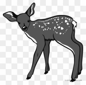 Baby Deer Animal Free Black White Clipart Images Clipartblack - White Tailed Deer Cartoon