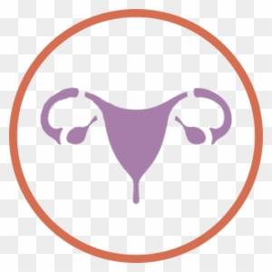 Obstetrics & Gynecology - Gynaecologist Png - Free Transparent PNG ...