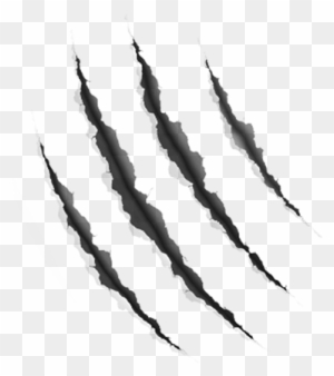 Scratches Clipart Transparent Background - Claw Mark Png ...