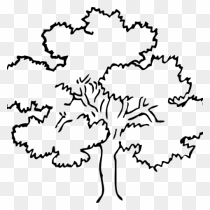Tree Clipart Outline Oak Tree Clip Art At Clker Vector - Tree Drawing Black And White