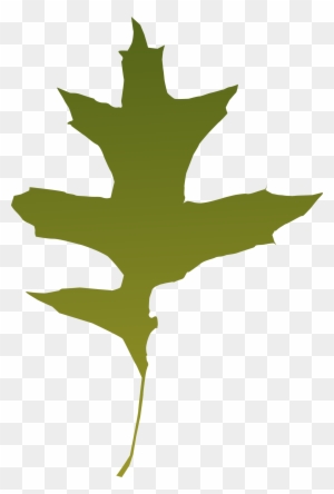Clipart Png File Tag List, Clip Arts Svg File - Green Oak Leaf Vector