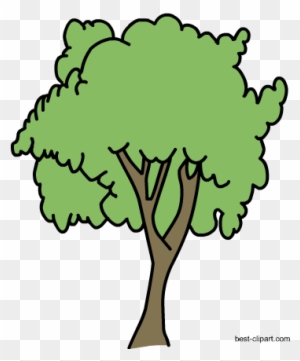 Free Big Tree Png Clipart Image - Portable Network Graphics