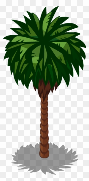 Palm Tree - Database