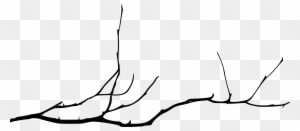 Tree Branch - Tree Branch Drawing Png