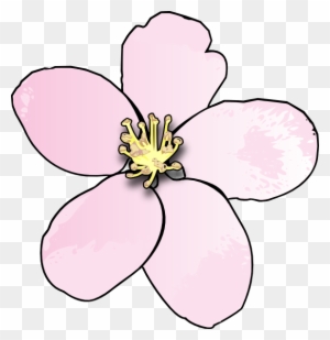Michigan State Flower Coloring Page | Best Flower Site