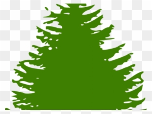 Pine Tree Graphic - Pine Tree Silhouette