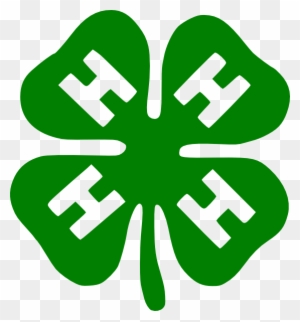 Free Vector Shamrock Clip Art - 4 H Logo Png