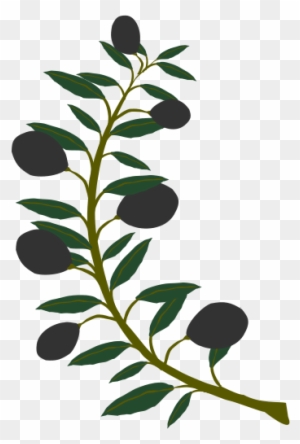 Free Olive Branch Black Olive - Olive Tree Branch Clipart