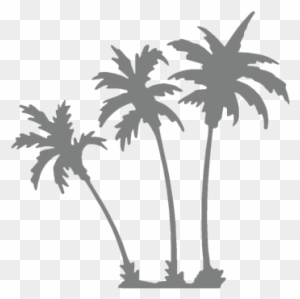 Palm Trees Background Overlay