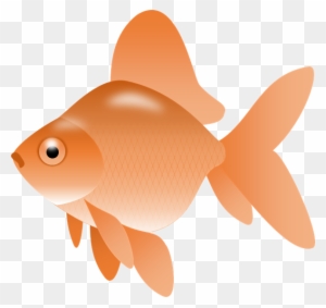 Smartness Gold Fish Clip Art Image Of Goldfish Clipart - Fish Clip Art Png Transparent