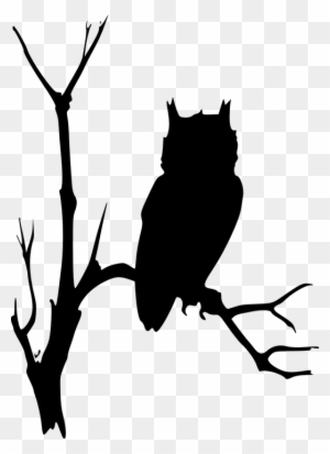 Owl Branches Tree Dead Eerie Watching Nature - Owl On Branch Silhouette