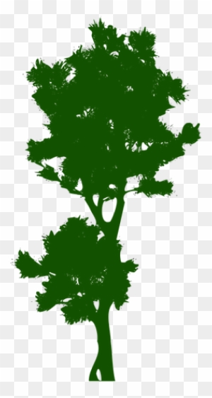 1253 Free Clipart Bare Tree Branches Public Domain - Tree