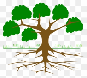 Tree Branches Root Eco Ecology Nature Plant - Environmental Movements In India