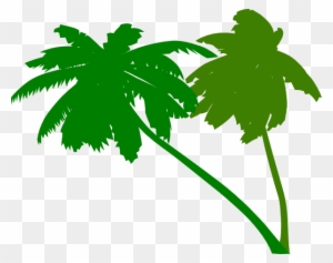 Vector Palm Trees Clip Art At Clker - Green Palm Tree Vector