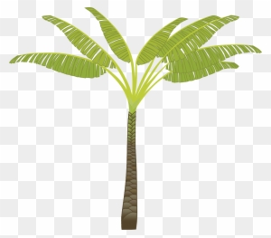 Palm Tree Png Images, Download Free Pictures - T Shaped Palm Tree