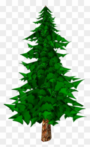 Pine Tree Cartoon - Pine Tree Model Toon
