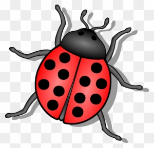 Ladybug Cartoon Clip Art - Ladybug Tattoo Design
