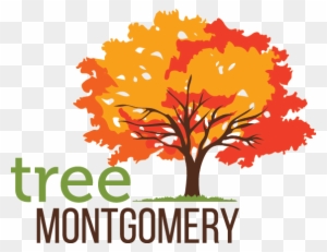 Tree Montgomery Logo - Autumn Tree Logo