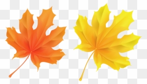Fall Leaf Clipart No Background - Yellow And Orange Leaves