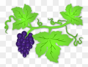 Clip Art Tree Grape - Vine Leaves Clip Art