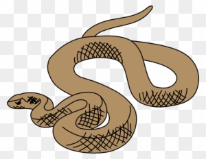 Chinese Snake Clip Art - Brown Snake Clipart