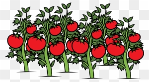 Plant Cliparts - Tomato Garden Clipart