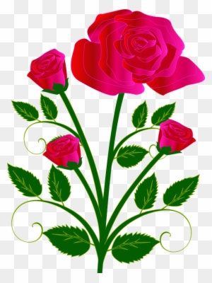 Bouquet Flower Rose Red Love - Flower Rose