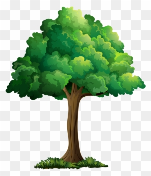 Tree Leavescartoon Pictureclip Art - Clip Art Summer Tree