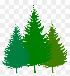Forest Clip Art Free - Pine Tree Silhouette Vector
