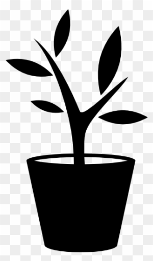 Size - Plant Pot Icon