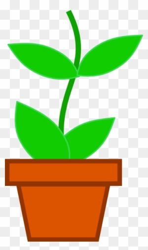 Plant In Pot Clip Art