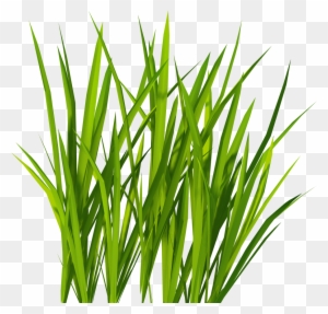 Grass Png Image, Green Grass Png Picture - Grass Png