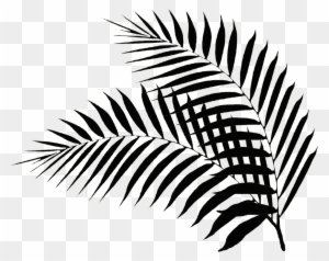 Palm Leaves - Black And White Palm Leaf Png