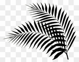 Palm Leaf Clipart Transparent Png Clipart Images Free Download Clipartmax