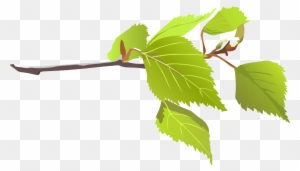Clipart - Branch With Leaves Png