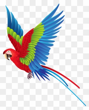 Colourful Parrot Png Clipart - Colorful Bird Png