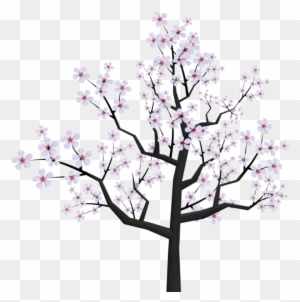 Drawn Sakura Blossom Transparent - Cherry Blossom Tree Png Drawing