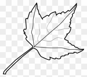 Embed This Clipart - Outline Image Of Leaf