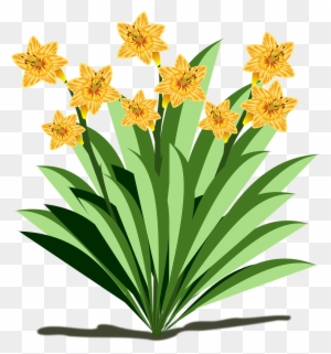 Clip Art Flor Flora Flower Nature Plant Cl - Fun Facts About Plants ...