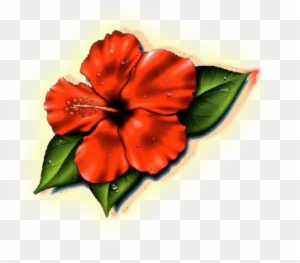Hibiscus Flower Tattoos- High Quality Photos And Flash - Hibiscus Flower Tattoo