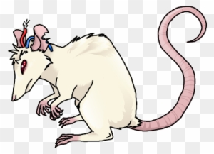 Rats In A Lab Blank