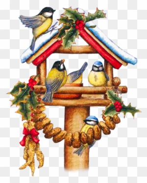 Album - Christmas Birds On A Bird House Clip Art