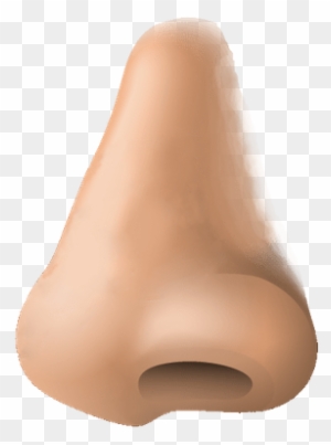 https://www.clipartmax.com/png/small/300-3009016_human-nose-clip-art-nose-png.png