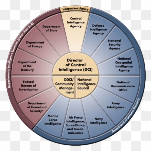 A Research On The History Of The Central Intelligence - Us Intelligence Community Diagram
