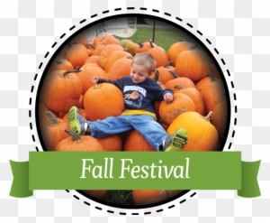 Enjoy Our Fall Festival Featuring Horse-drawn Hayrides, - Shaw Farms Produce & Pumpkins