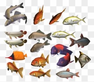 Marine Fish Clipart Colour Fish - School Of Fish Transparent