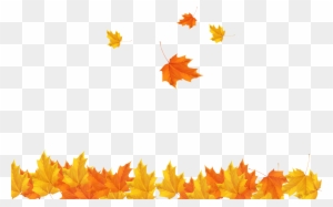Autumn Leaf Clip Art - Transparent Background Maple Leaves Png
