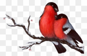 Love Birds Silhouette Png Gallery Images And Information - Wedding