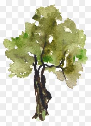 Grapes Clipart Tree - Tree Watercolor Png
