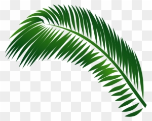 Jamaica Clipart Palm Tree - Leaf
